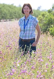 Long stands in a field of flowering cover crop
