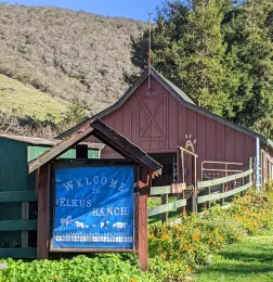 Photo by Cathrin Callas