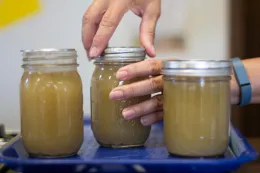 Master Food Preservers program button