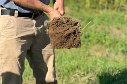 Soil program button