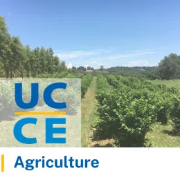 Central Sierra Agriculture thumbnail