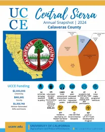 Annual-Report-Calaveras-Snapshot-2024 shows pie chart and program numbers