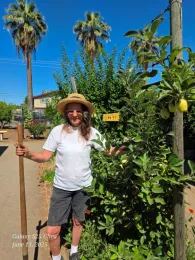 Master Gardener and an Esplier tree