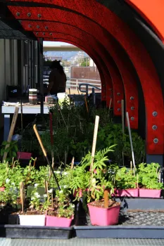 City Slicker Farms Greenhouse, West Oakland, California