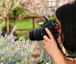 Rei Scampavia photographing pollinators. (Photo by Kathy Keatley Garvey)
