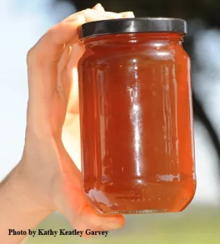 Honey has been described as