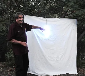 Bohart Museum associate Greg Kareofelas stands by the blacklighting display. (Photo by Kathy Keatley Garvey)