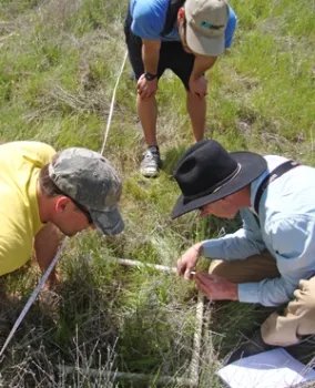 Vegetation sampling in a meadow the spring following a fall burn on the Big Chico Creek Ecological Reserve.