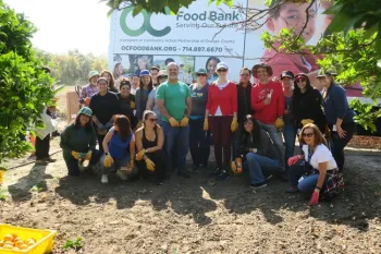 ASICS gleans citrus at South Coast REC.