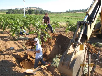 a woman with a backhoe and roots