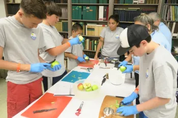 Prepping ingredients for fruit leather.