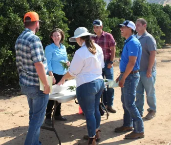 Dr. Bodil Cass talking about katydid damage