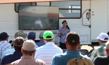 Hanna Kahl lecturing on earwig damage