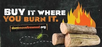 Don't Move Firewood