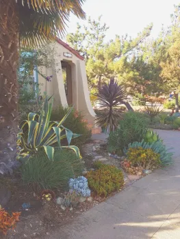 Succulent Garden