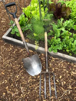 Spade and spading fork by Karen Schaffer