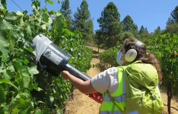 a woman holding a D-vac in a grapevine canopy