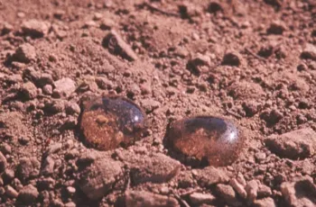 Appearance of water droplets 