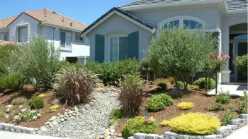 Apply mulch between plants to help soil retain moisture and carbon. Photo: Gardensoft