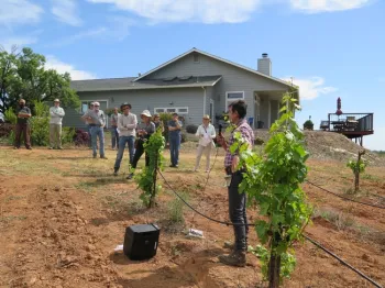 A man in a field with a microphone