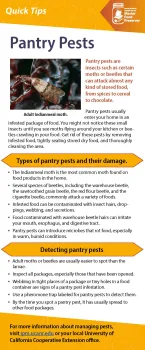 MFP Quick Tip Pantry Pest New Logo Format - small_Page_1