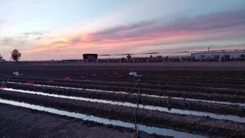Desert REC field at sunset