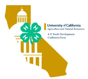 Screenshot 2023-03-16 141328