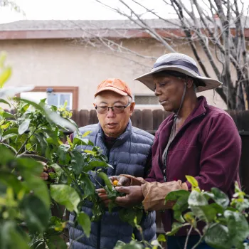 Two volunteers from Los Angeles standing side by side in a garden inspecting leaves