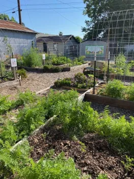 A view of The Garden at St. Timothy's in Gridley in May 2025. Grace Mahannah