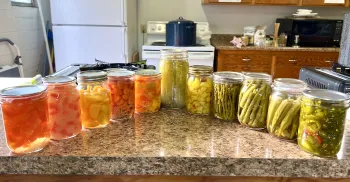 Variety of pickled products for sampling. Briana Swanson