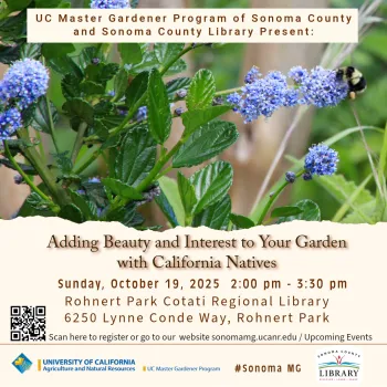 Learn the best California native garden plants to add to your garden