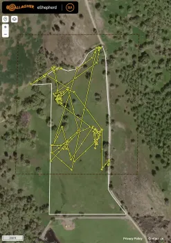 VF location tracking
