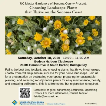 Learn how to select plants for your Sonoma Coast home garden