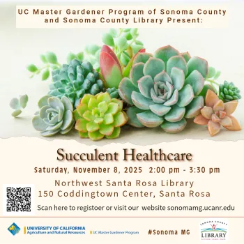 workshop on how to care for succulent plants