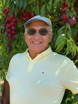 Carlos Crisosto wearing sunglasses beside ripe plums on tree