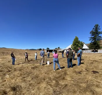 Image of a field day on an organic dairy farm 