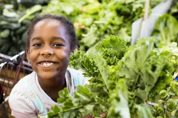 Child organic food shopping with lettuce