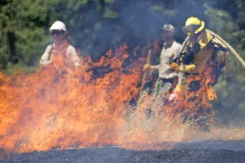 Firefighters training at controlled burn