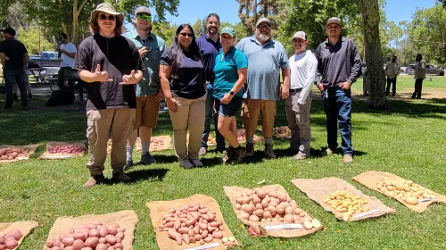 Leonel Jimenez (center) smiles with the potato variety trial team