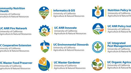 Screenshot of new logos