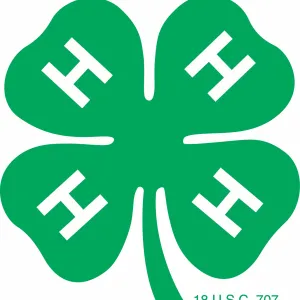 4H