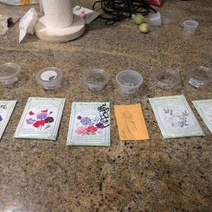 six varieties of sweet peas packets