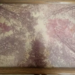 old photo of Prospect Park in New York