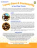 Adult_Honeybee_Factsheet-Eng_thmbnl-100w-129h